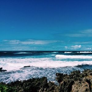 Meet your Posher, Jane